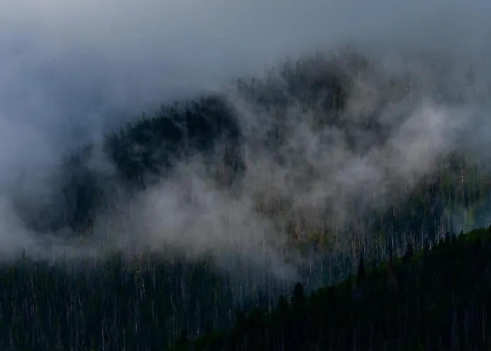 Telemark 202 *
